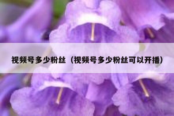 视频号多少粉丝（视频号多少粉丝可以开播） 第1张