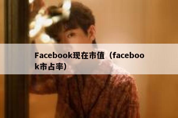 Facebook现在市值（facebook市占率） 第1张
