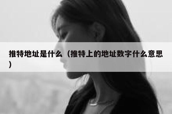 推特地址是什么（推特上的地址数字什么意思） 第1张