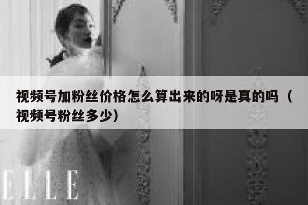 视频号加粉丝价格怎么算出来的呀是真的吗（视频号粉丝多少） 第1张