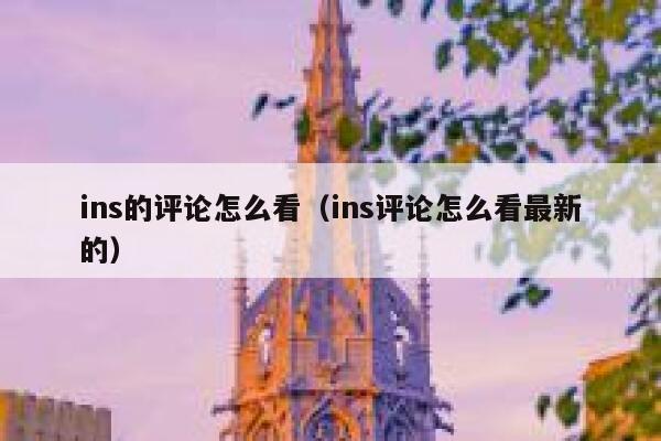 ins的评论怎么看（ins评论怎么看最新的） 第1张