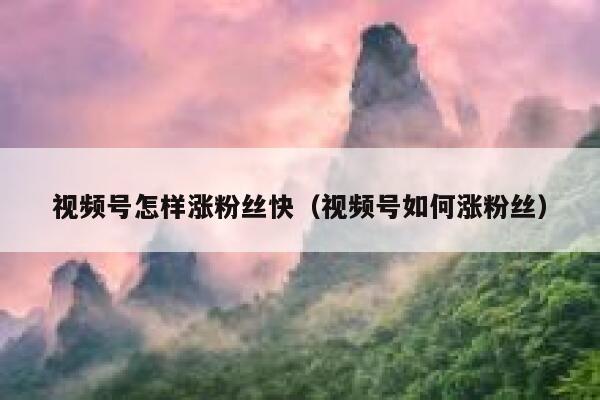视频号怎样涨粉丝快（视频号如何涨粉丝） 第1张