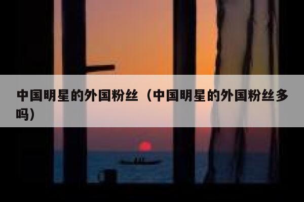 中国明星的外国粉丝（中国明星的外国粉丝多吗） 第1张