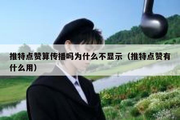 推特点赞算传播吗为什么不显示（推特点赞有什么用） 第1张