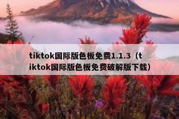 tiktok国际版色板免费1.1.3（tiktok国际版色板免费破解版下载） 第1张