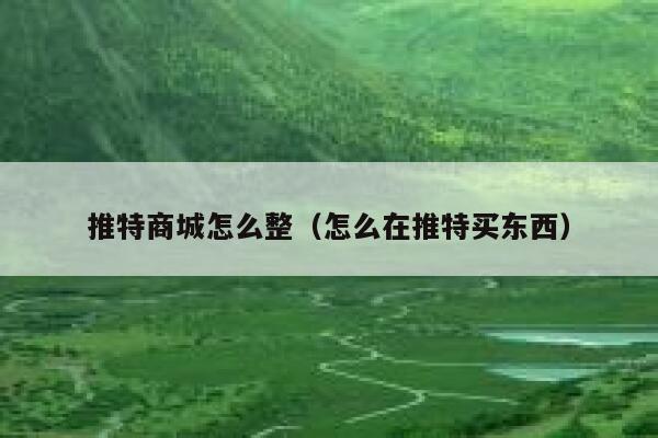 推特商城怎么整（怎么在推特买东西） 第1张