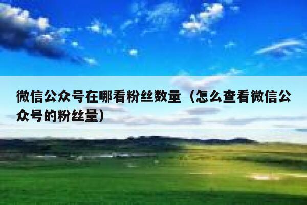 微信公众号在哪看粉丝数量（怎么查看微信公众号的粉丝量） 第1张