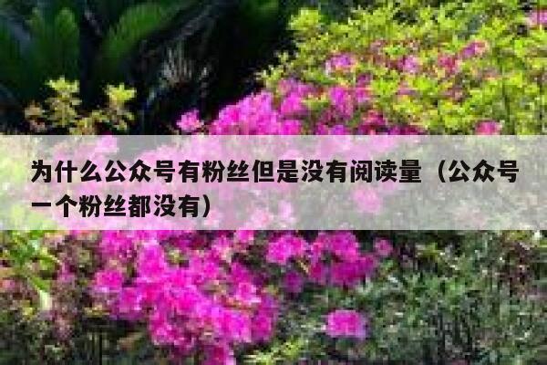 为什么公众号有粉丝但是没有阅读量（公众号一个粉丝都没有） 第1张
