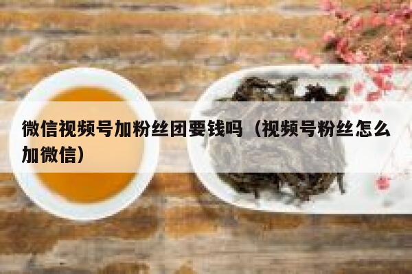 微信视频号加粉丝团要钱吗（视频号粉丝怎么加微信） 第1张