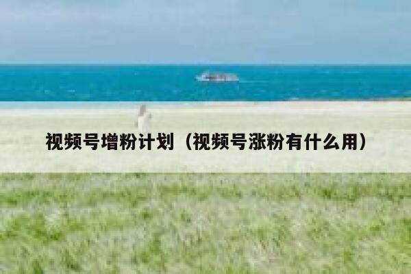 视频号增粉计划（视频号涨粉有什么用） 第1张