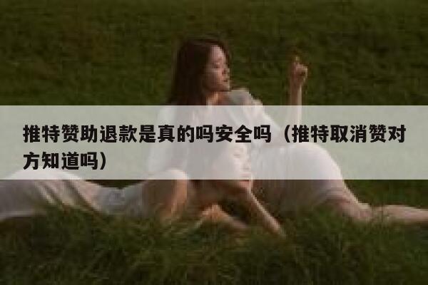推特赞助退款是真的吗安全吗（推特取消赞对方知道吗） 第1张