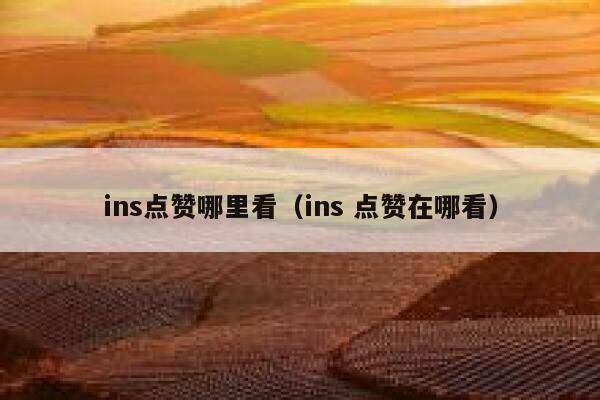 ins点赞哪里看（ins 点赞在哪看） 第1张