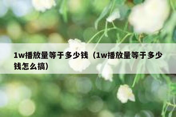 1w播放量等于多少钱（1w播放量等于多少钱怎么搞） 第1张