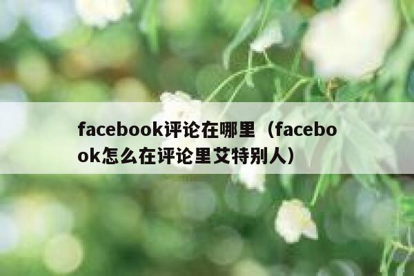 facebook评论在哪里（facebook怎么在评论里艾特别人） 第1张