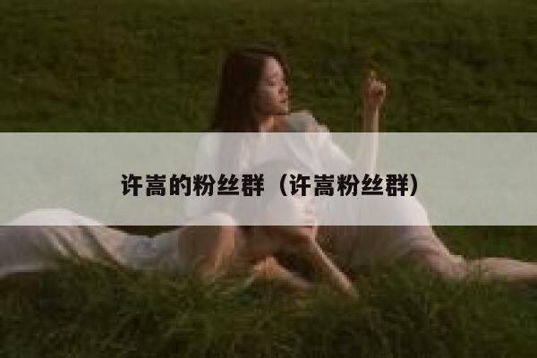 许嵩的粉丝群（许嵩粉丝群） 第1张
