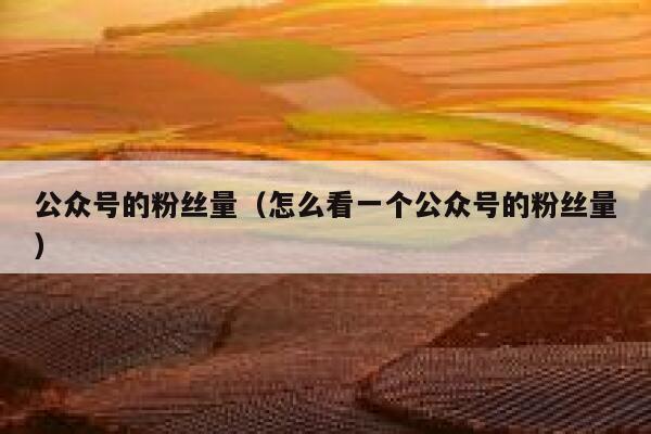 公众号的粉丝量（怎么看一个公众号的粉丝量） 第1张