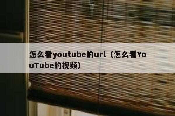 怎么看youtube的url（怎么看YouTube的视频） 第1张