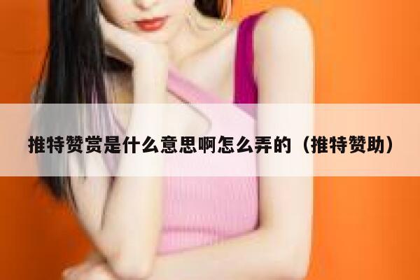 推特赞赏是什么意思啊怎么弄的（推特赞助） 第1张