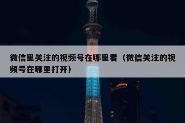 微信里关注的视频号在哪里看（微信关注的视频号在哪里打开） 第1张