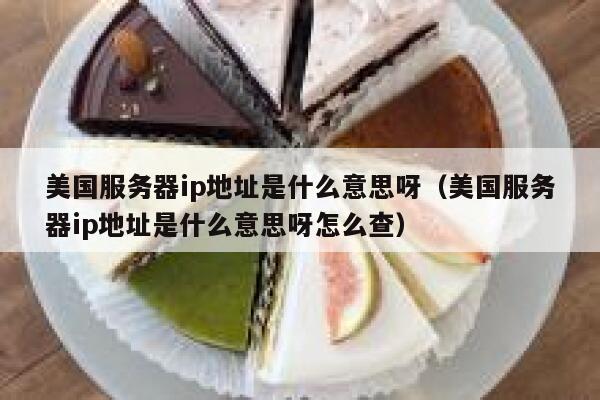 美国服务器ip地址是什么意思呀（美国服务器ip地址是什么意思呀怎么查） 第1张