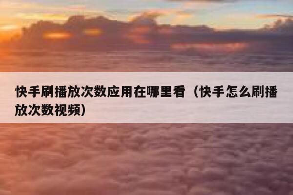 快手刷播放次数应用在哪里看（快手怎么刷播放次数视频） 第1张