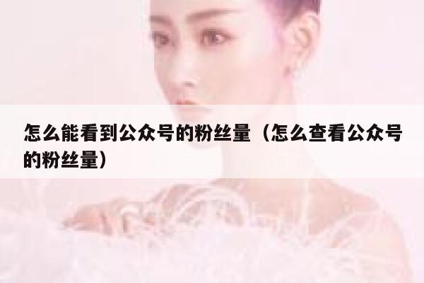 怎么能看到公众号的粉丝量（怎么查看公众号的粉丝量） 第1张