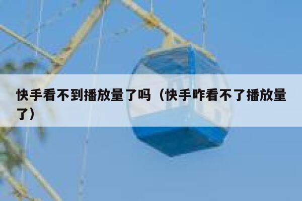 快手看不到播放量了吗（快手咋看不了播放量了） 第1张