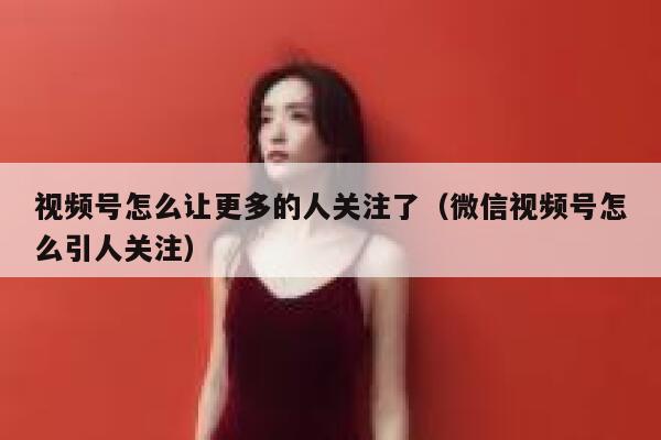 视频号怎么让更多的人关注了（微信视频号怎么引人关注） 第1张