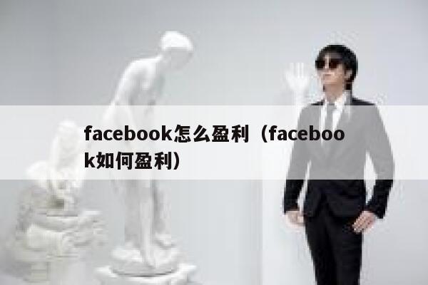 facebook怎么盈利（facebook如何盈利） 第1张