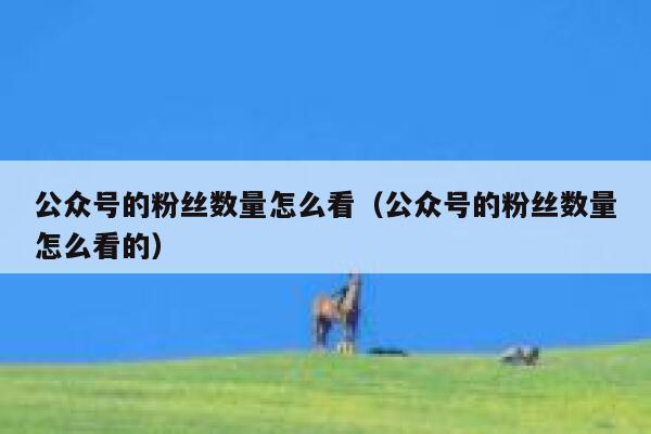 公众号的粉丝数量怎么看（公众号的粉丝数量怎么看的） 第1张