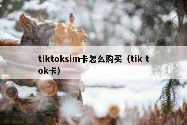 tiktoksim卡怎么购买（tik tok卡） 第1张