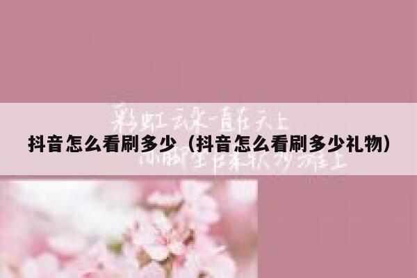 抖音怎么看刷多少（抖音怎么看刷多少礼物） 第1张