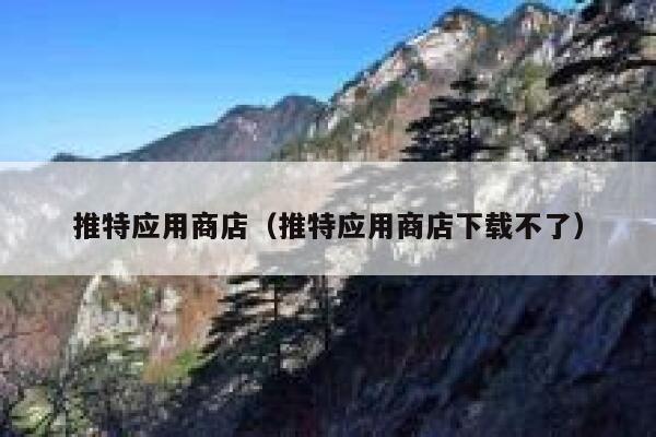 推特应用商店（推特应用商店下载不了） 第1张