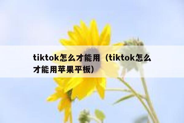 tiktok怎么才能用（tiktok怎么才能用苹果平板） 第1张