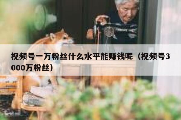 视频号一万粉丝什么水平能赚钱呢（视频号3000万粉丝） 第1张