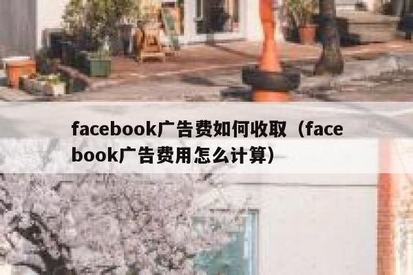 facebook广告费如何收取（facebook广告费用怎么计算） 第1张