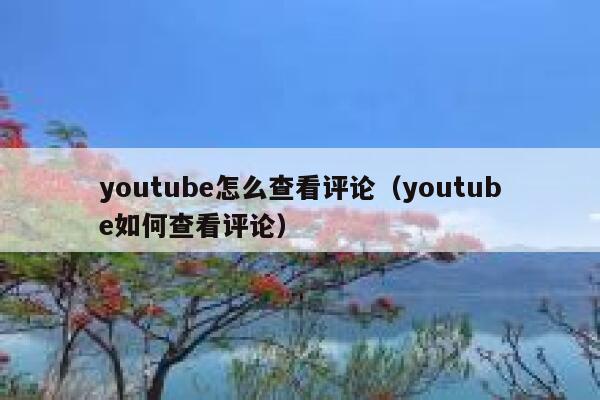 youtube怎么查看评论（youtube如何查看评论） 第1张