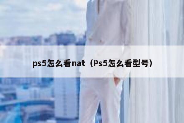 ps5怎么看nat（Ps5怎么看型号） 第1张