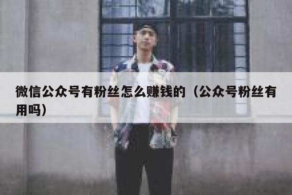 微信公众号有粉丝怎么赚钱的（公众号粉丝有用吗） 第1张