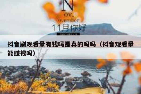 抖音刷观看量有钱吗是真的吗吗（抖音观看量能赚钱吗） 第1张