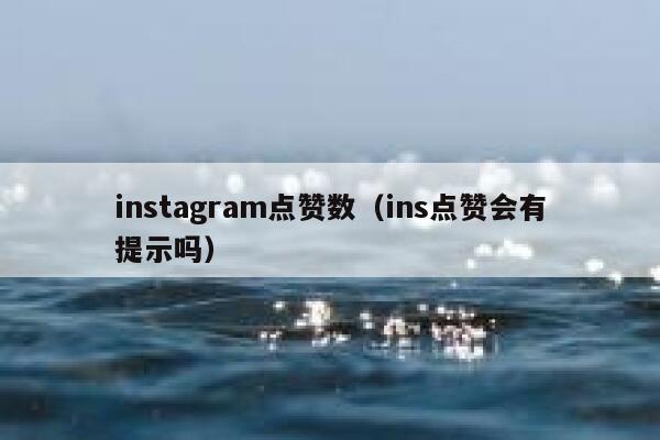 instagram点赞数（ins点赞会有提示吗） 第1张
