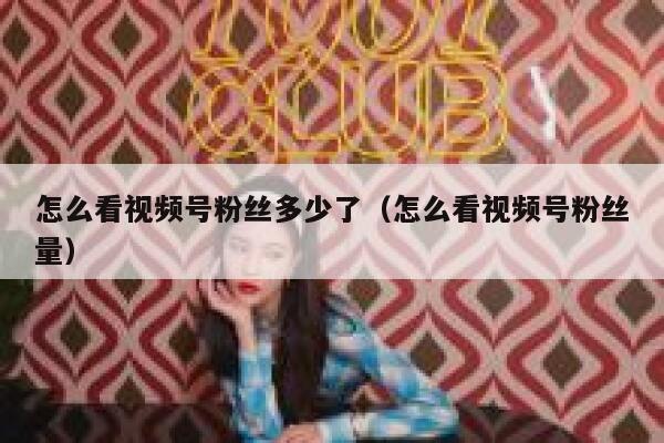 怎么看视频号粉丝多少了（怎么看视频号粉丝量） 第1张