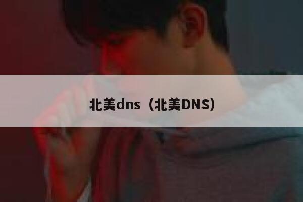北美dns（北美DNS） 第1张