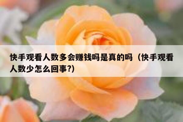 快手观看人数多会赚钱吗是真的吗（快手观看人数少怎么回事?） 第1张