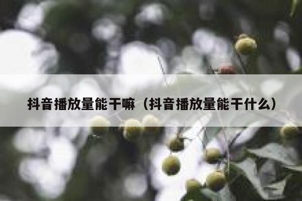 抖音播放量能干嘛（抖音播放量能干什么） 第1张