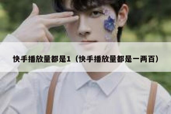快手播放量都是1（快手播放量都是一两百） 第1张