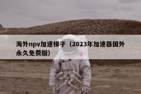 海外npv加速梯子（2023年加速器国外永久免费版） 第1张