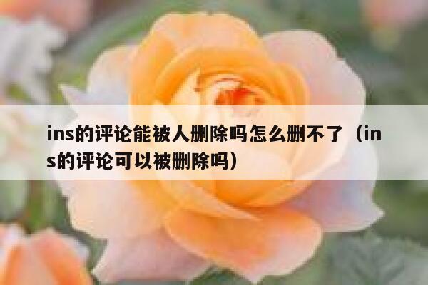 ins的评论能被人删除吗怎么删不了（ins的评论可以被删除吗） 第1张