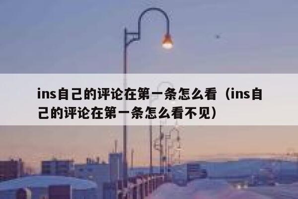 ins自己的评论在第一条怎么看（ins自己的评论在第一条怎么看不见） 第1张