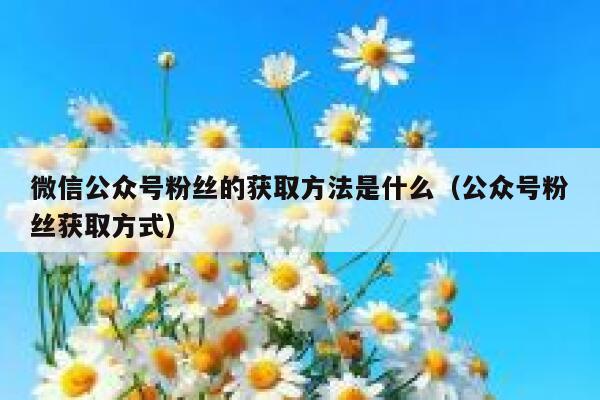 微信公众号粉丝的获取方法是什么（公众号粉丝获取方式） 第1张